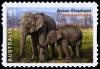 Colnect-4536-015-Asian-Elephant-Elephas-maximus.jpg