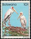 Colnect-597-743-Yellow-billed-Stork-Mycteria-ibis-.jpg