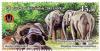 Colnect-6135-842-Asian-Elephant-Elephas-maximus.jpg
