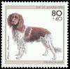 Stamp_Germany_1995_Briefmarke_Kleiner_M%25C3%25BCnsterl%25C3%25A4nder.jpg