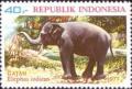 Colnect-1137-456-Asian-Elephant-Elephas-maximus.jpg