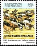 Colnect-6175-884-Landscape-with-Cattle-Bos-primigenius-taurus-Kgalagadi.jpg