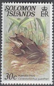 Colnect-1930-628-Gunther--s-Triangle-Frog-Ceratobatrachus-guentheri.jpg