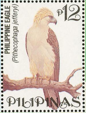 Colnect-1629-267-Philippine-Eagle-nbsp-Pithecophaga-jefferyi.jpg