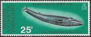 Colnect-3076-524-Blue-Whale-Balaenoptera-musculus.jpg