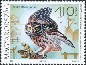 Colnect-4262-414-Little-Owl-Athene-noctua.jpg
