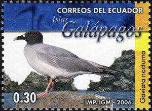 Colnect-5837-359-Swallow-tailed-Gull-Creagrus-furcatus.jpg