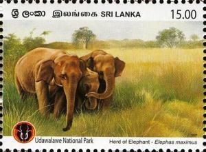 Colnect-5913-608-Asian-Elephant-Elephas-maximus.jpg