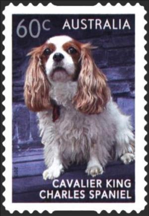 Colnect-6296-358-Cavalier-King-Charles-Spaniel-Canis-lupus-familiaris.jpg