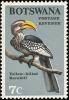 Colnect-597-710-Eastern-Yellow-billed-Hornbill-Tockus-flavirostris.jpg