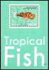 Colnect-4910-055-Blue-eyed-Triplefin-Notoclinops-segmentatus.jpg