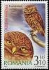 Colnect-5184-081-Little-Owl-Athene-noctua.jpg