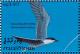Colnect-1428-097-Common-Gull-billed-Tern-Gelochelidon-nilotica.jpg