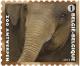 Colnect-1572-793-Asian-Elephant-Elephas-maximus.jpg