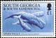 Colnect-5169-482-Sperm-Whale-Physeter-macrocephalus.jpg