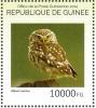 Colnect-3877-214-Little-Owl-Athene-noctua.jpg