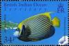 Colnect-1425-645-Emperor-Angelfish-Pomacanthus-imperator.jpg