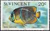 Colnect-2168-189-Queen-Angelfish-Holacanthus-ciliaris.jpg