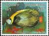 Colnect-2666-588-Emperor-Angelfish-Pomacanthus-imperator.jpg