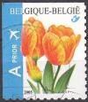 Colnect-3105-695-Tulip-Darwin-Self-adhesive---top--left-imperf.jpg