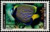Colnect-574-987-Emperor-Angelfish-Pomacanthus-imperator.jpg