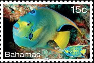 Colnect-2174-165-Queen-Angelfish-Holacanthus-ciliaris.jpg