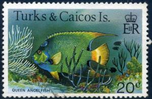 Colnect-2761-832-Queen-Angelfish-Holacanthus-ciliaris.jpg