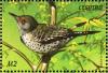 Colnect-1725-642-Northern-Flicker-Colaptes-auratus%C2%A0.jpg