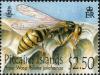 Colnect-5888-249-Paper-Wasp-Polistes-jokahamae-facing-right.jpg