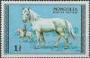 Colnect-902-262-White-Stallion-Equus-ferus-caballus.jpg