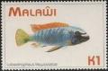 Colnect-1734-865-Trewavas-Cichlid-Labeotropheus-trewavasae.jpg