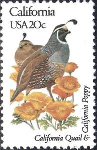 Colnect-4136-357-California---California-Quail-California-Poppy.jpg