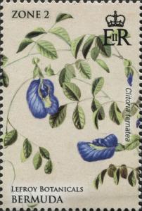 Colnect-4279-123-Clitoria-ternatea.jpg