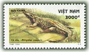Colnect-1160-401-Chinese-Alligator-Alligator-sinensis.jpg