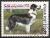 Colnect-1186-500-Border-Collie-Canis-lupus-familiaris.jpg