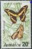 Colnect-748-668-Papilio-thoas-melonius.jpg