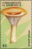 Colnect-3037-967-Clitocybe-geotropa.jpg