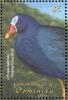 Colnect-5250-543-Purple-Gallinule-Porphyrio-martinica.jpg