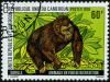 Colnect-1204-938-Gorilla-Gorilla-gorilla.jpg