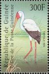 Colnect-3804-313-Yellow-billed-Stork-Mycteria-ibis.jpg