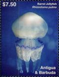 Colnect-6446-212-Barrel-Jellyfish-Rhizostoma-pulmo.jpg