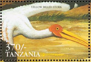 Colnect-3746-343-Yellow-billed-Stork-Mycteria-ibis.jpg