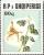 Colnect-1443-816-Marshmallow-Althea-officinalis.jpg