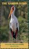 Colnect-5726-902-Yellow-billed-Stork-Mycteria-ibis.jpg