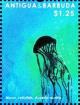 Colnect-5942-818-Moon-Jellyfish-Aurelia-aurita.jpg