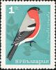 Colnect-621-466-Eurasian-Bullfinch-Pyrrhula-pyrrhula.jpg
