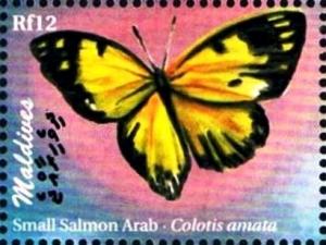 Colnect-3468-555-Small-Salmon-Arab-Colotis-amata.jpg