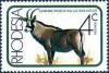 Colnect-2131-783-Roan-Antelope-Hippotragus-equinus.jpg