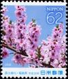Colnect-5371-550-Peach-Blossoms-Prunus-persica.jpg