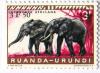 Colnect-544-040-African-Elephant-Loxodonta-africana---Surcharged.jpg